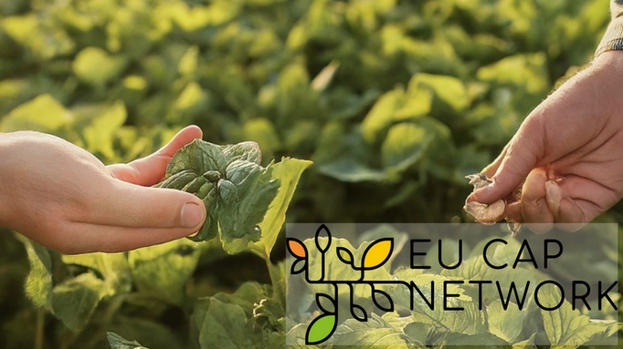 Idee für ein Innovationsprojekt, aber etwas fehlt: Beantragen Sie ein IFL - Vorprojekt zur Vorbereitung